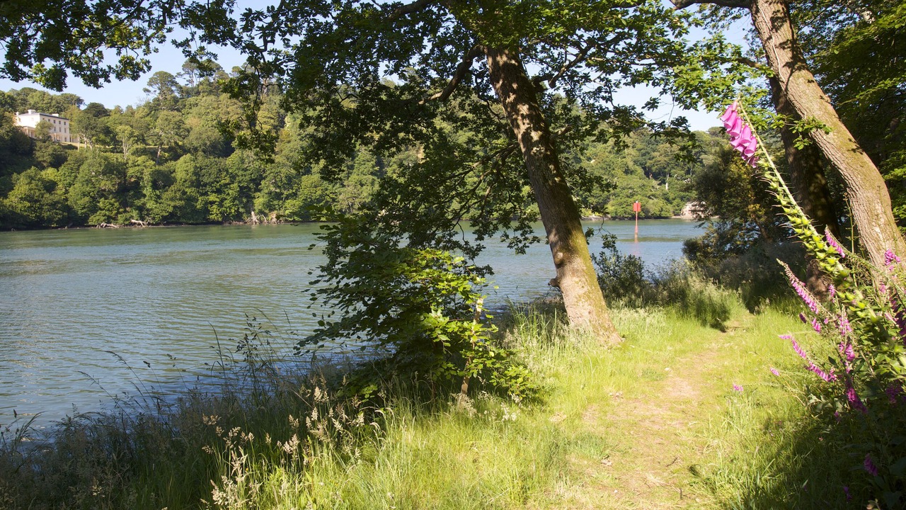 Photo of Outdoor in Dartmouth