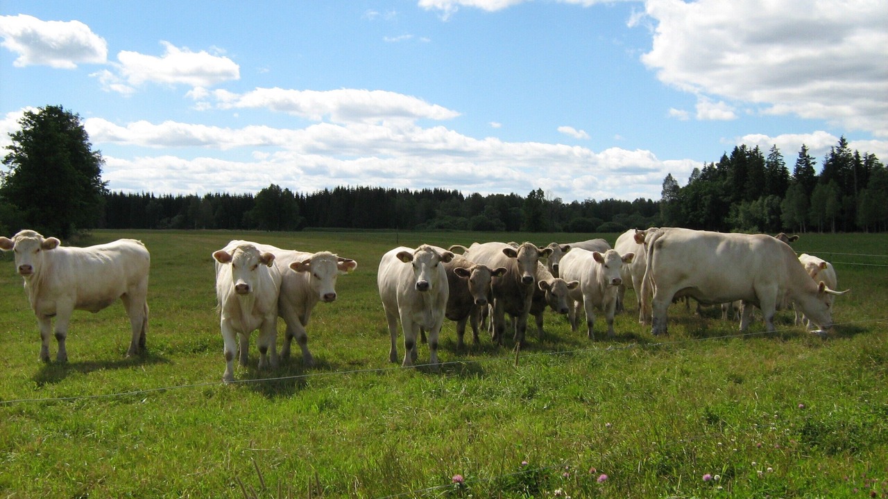 Photo of Outdoor in Vrigstad