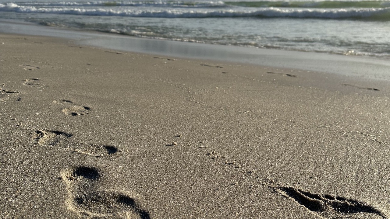 Photo of Others in Bloubergstrand