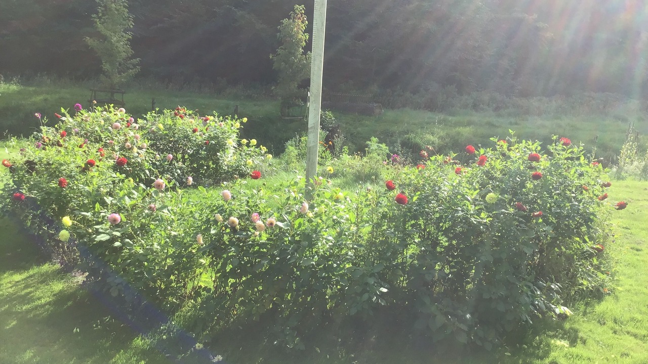 Photo of Outdoor in Vejstrup