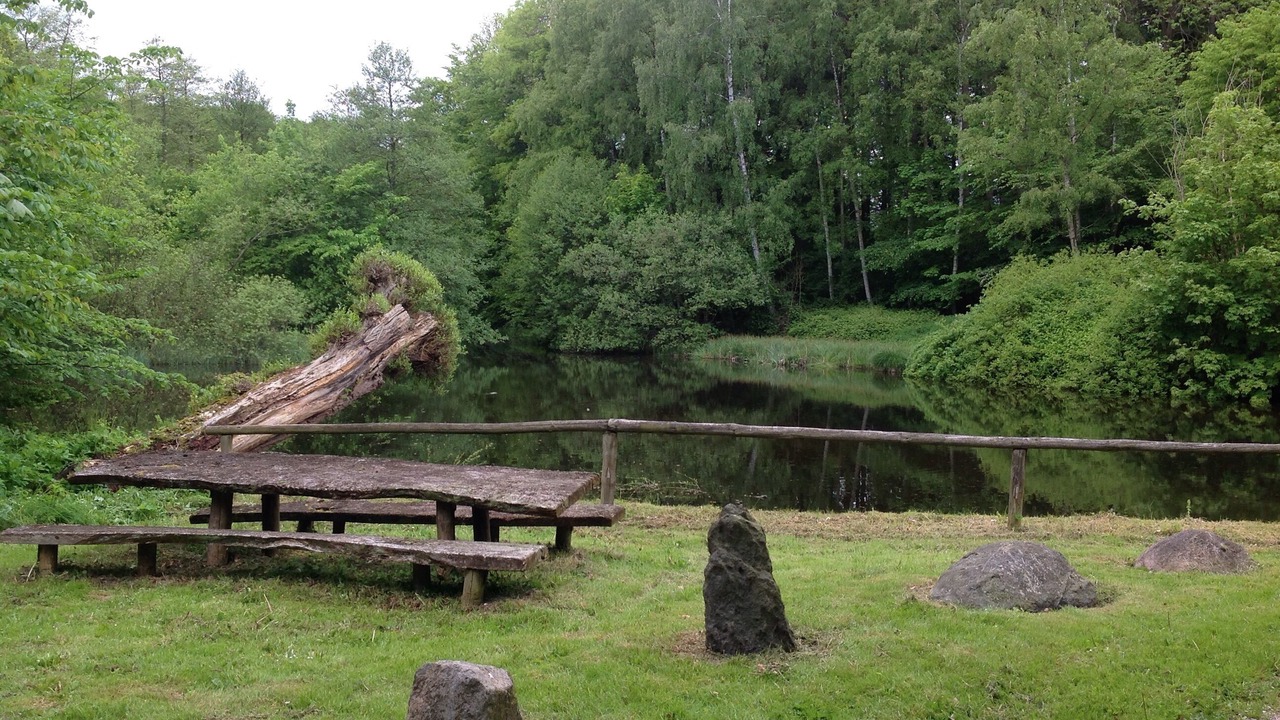 Photo of Outdoor in Vejstrup