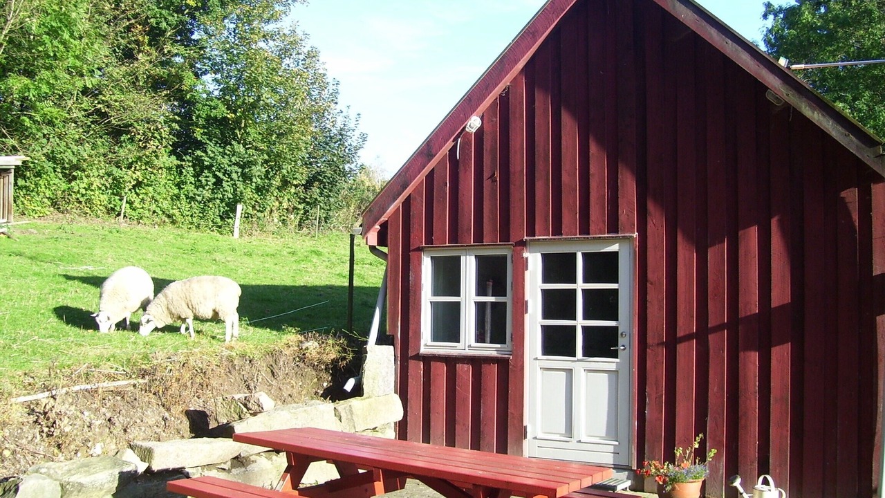 Photo of Outdoor in Vejstrup