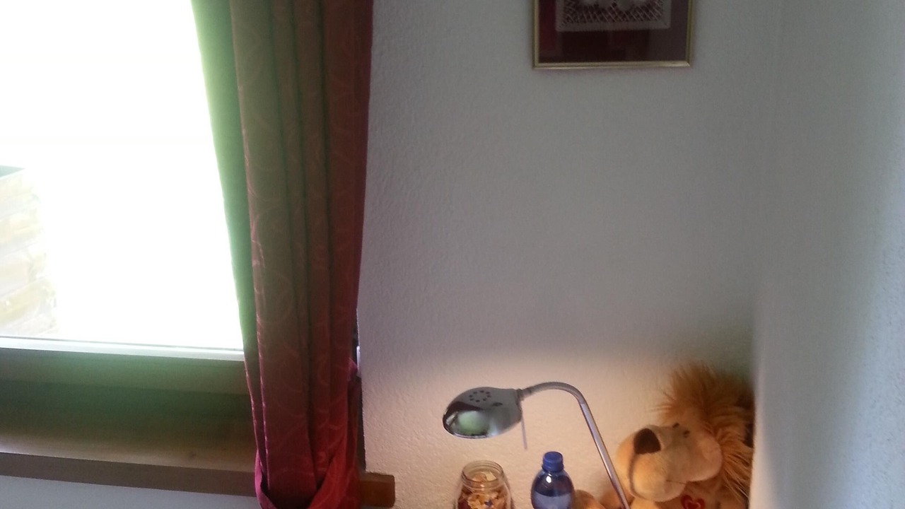Photo of Others in Lauterbrunnen