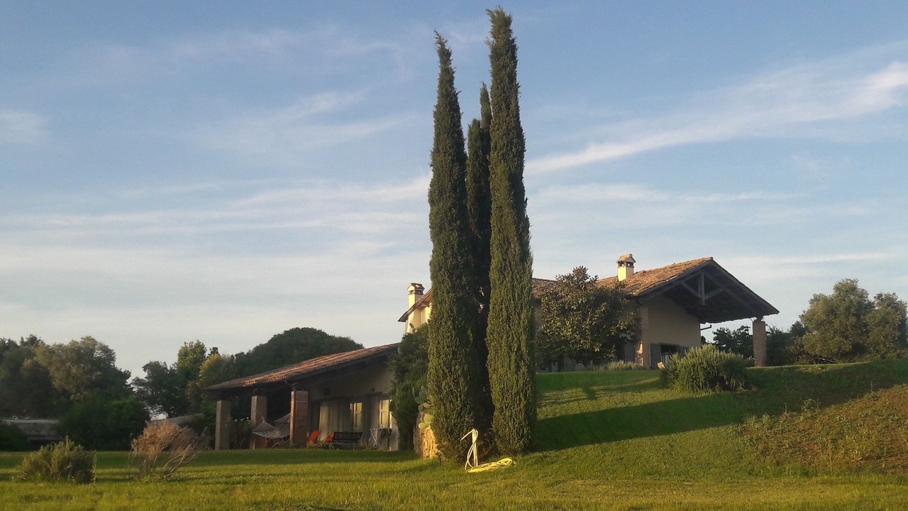 Photo of Outdoor in Pescia Romana