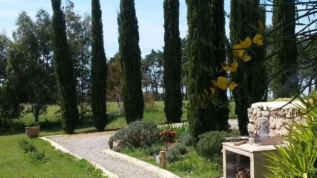 Photo of Outdoor in Pescia Romana