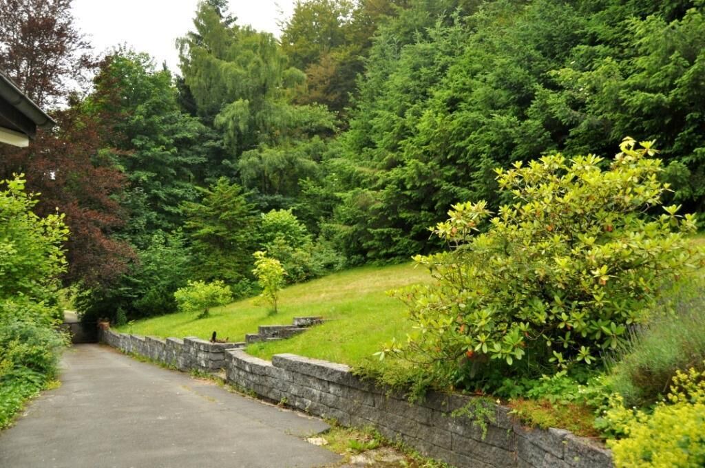 Photo of Outdoor in Brilon-Wald
