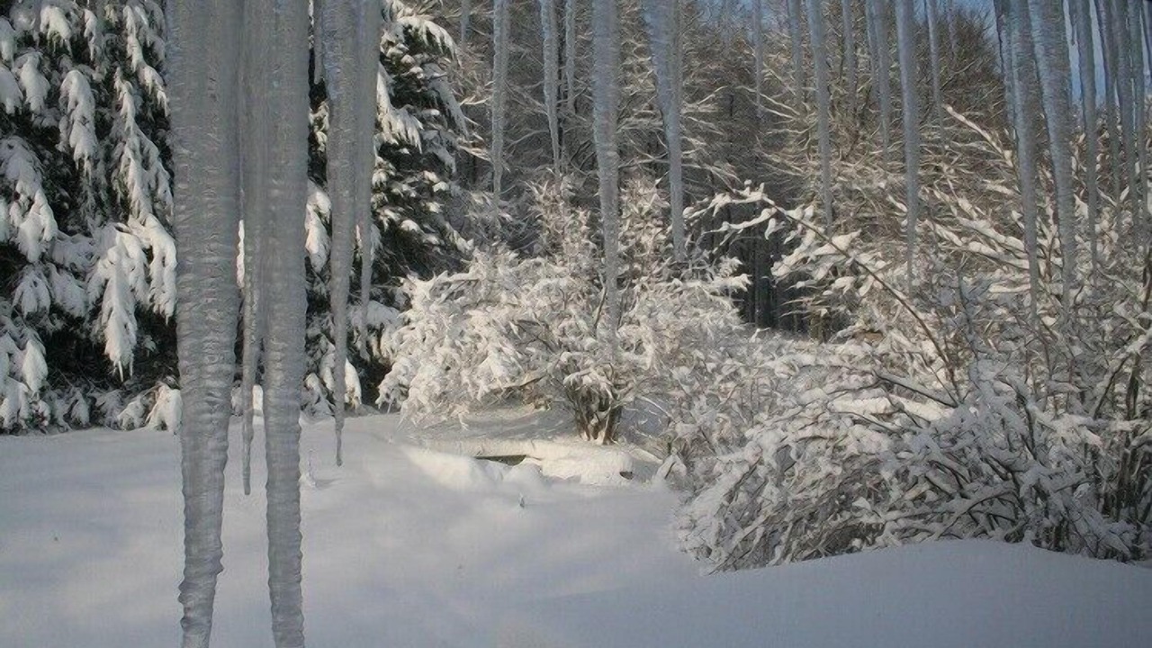 Photo of Outdoor in Brilon-Wald