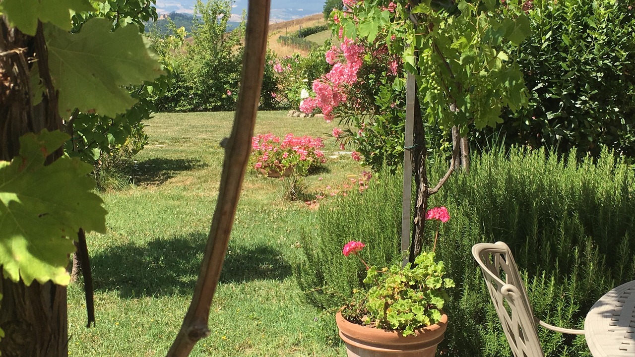 Photo of Outdoor in Gambassi Terme