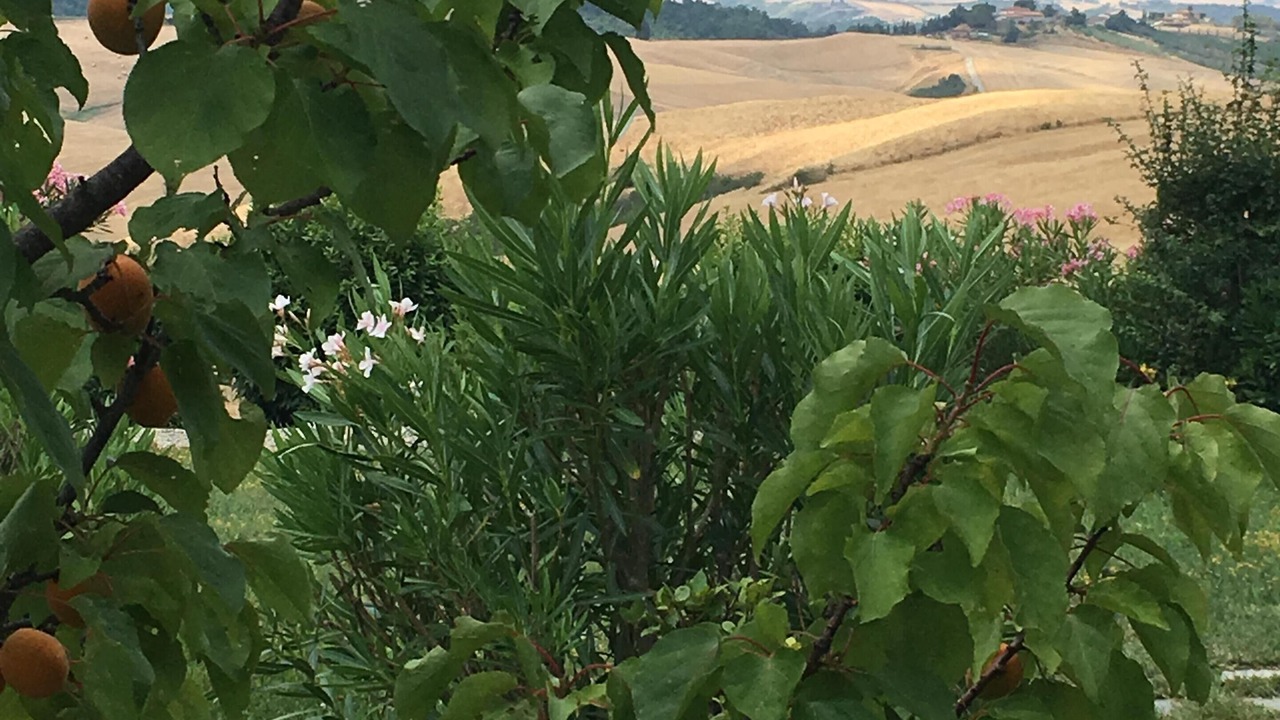 Photo of Outdoor in Gambassi Terme