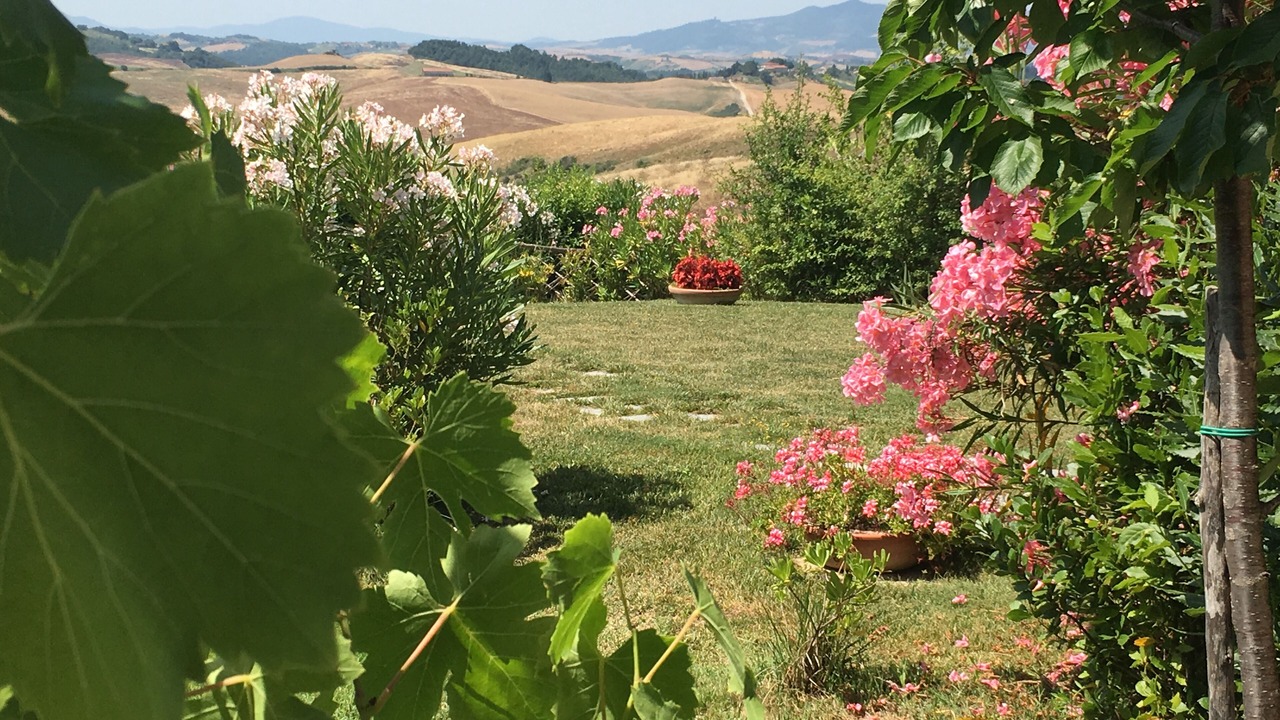 Photo of Outdoor in Gambassi Terme