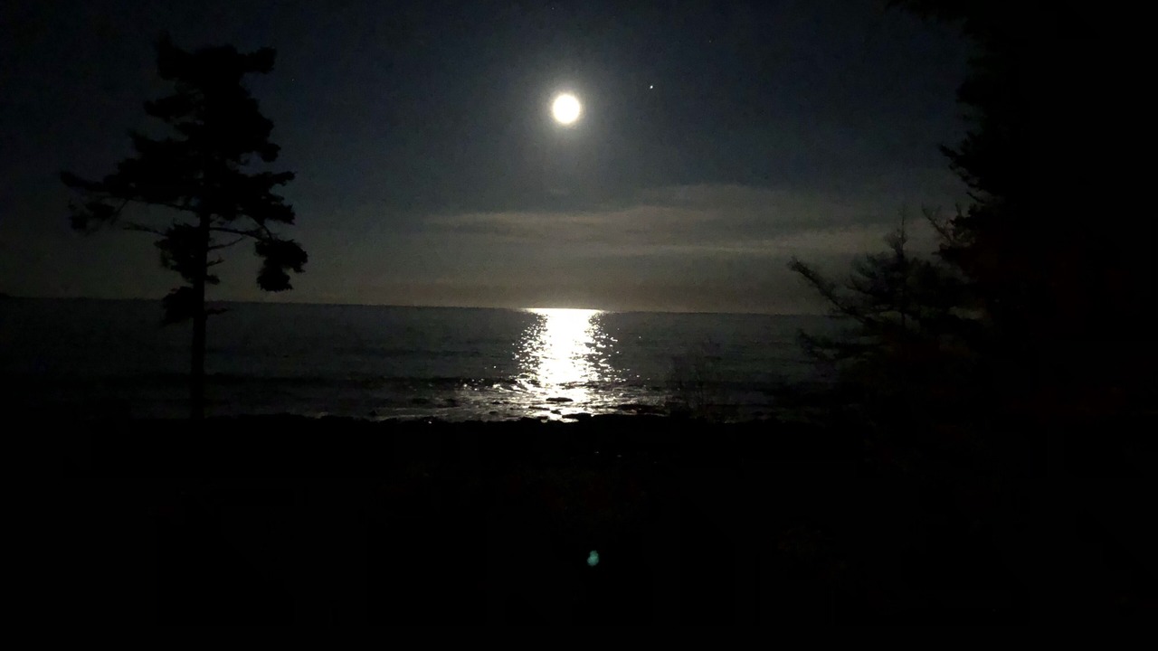 Photo of Others in Prospect Harbor