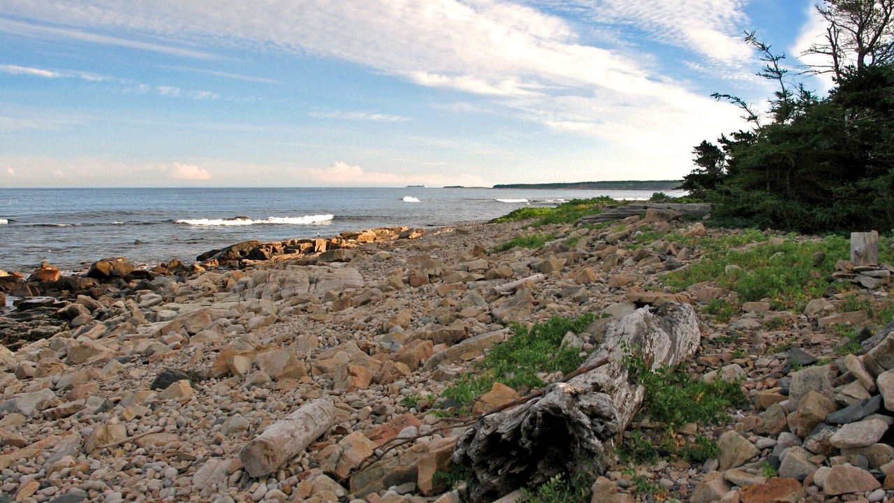 Photo of Others in Prospect Harbor