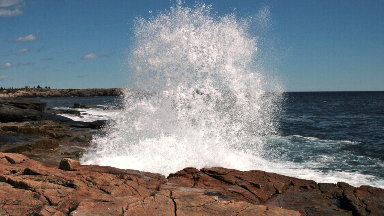 Photo of Others in Prospect Harbor