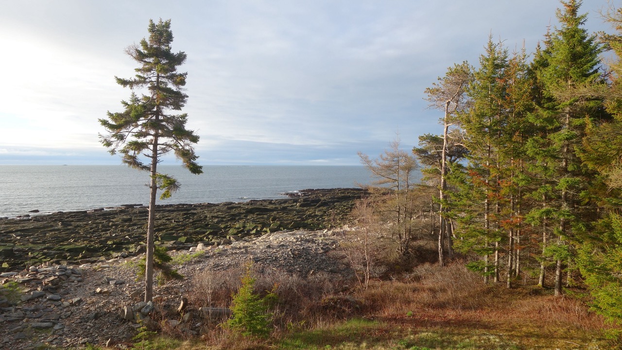 Photo of Others in Prospect Harbor
