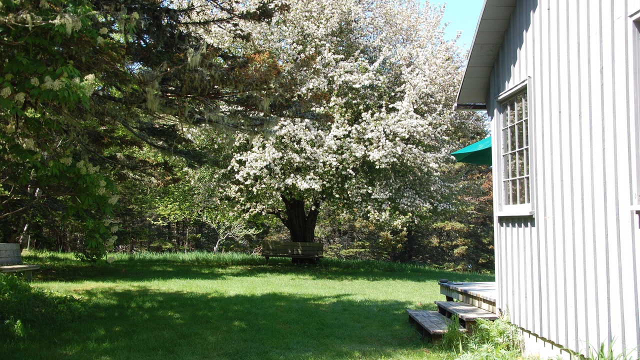 Photo of Outdoor in Bernard