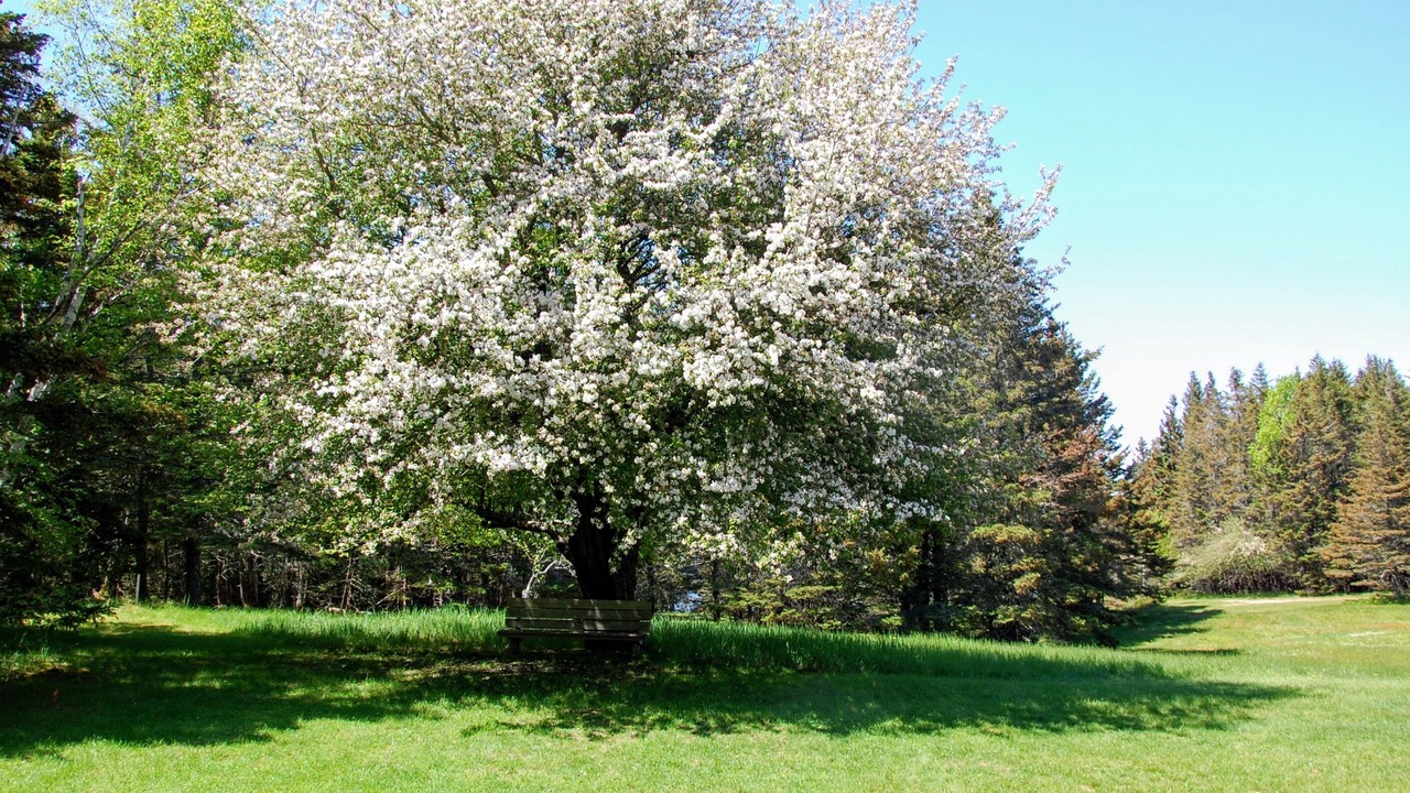 Photo of Others in Bernard