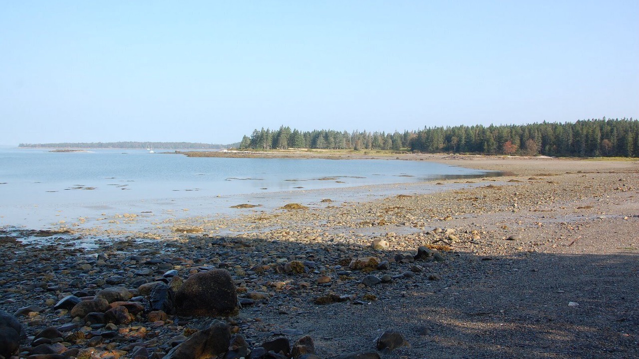 Photo of Others in Bernard