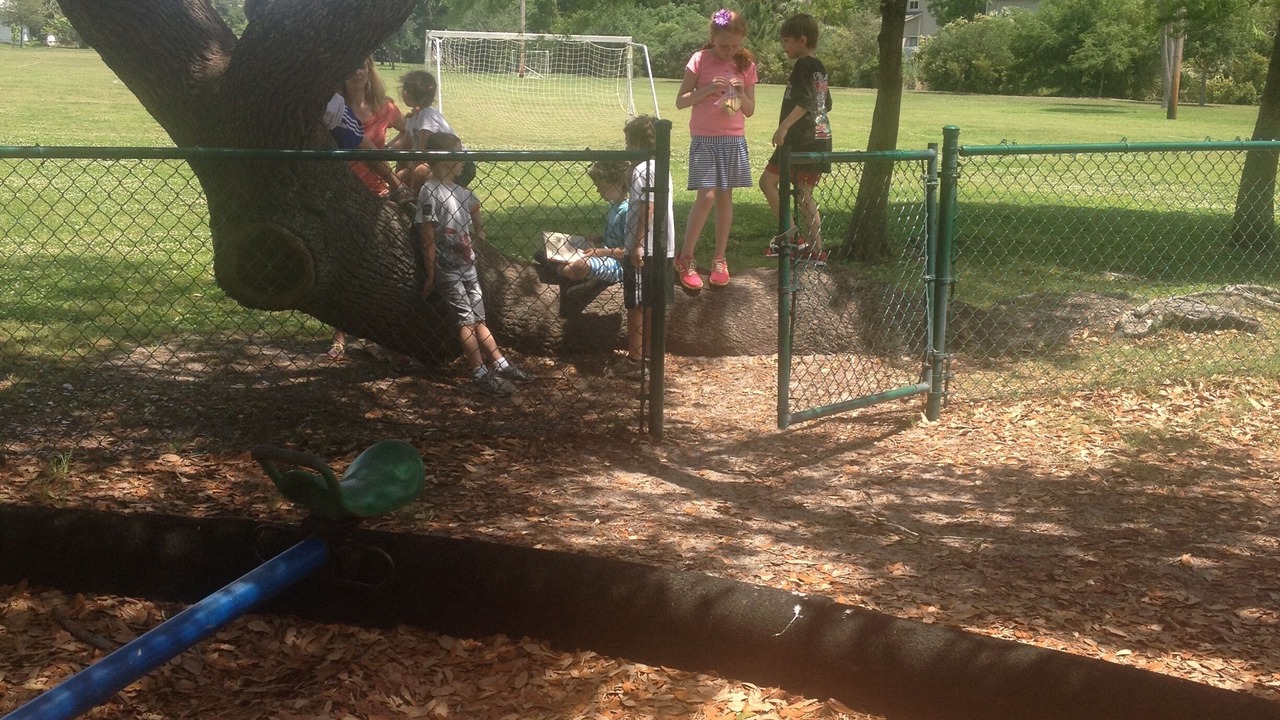Photo of Others in Tybee Island