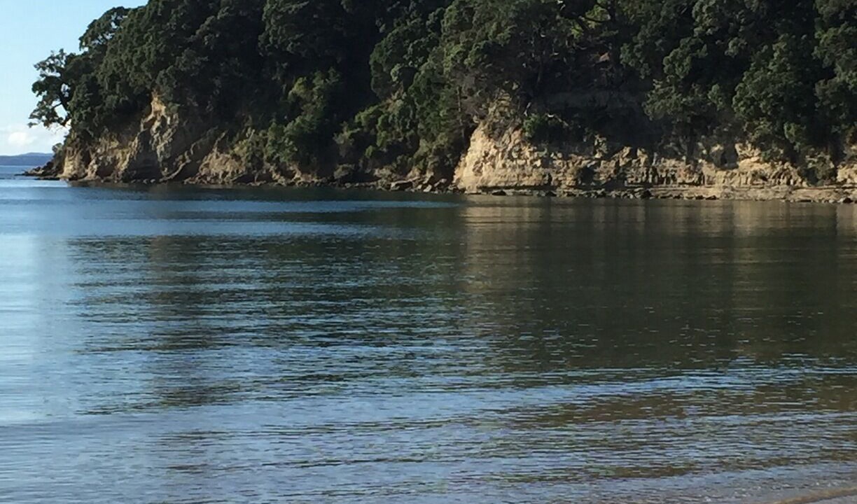 Photo of Others in Stanmore Bay