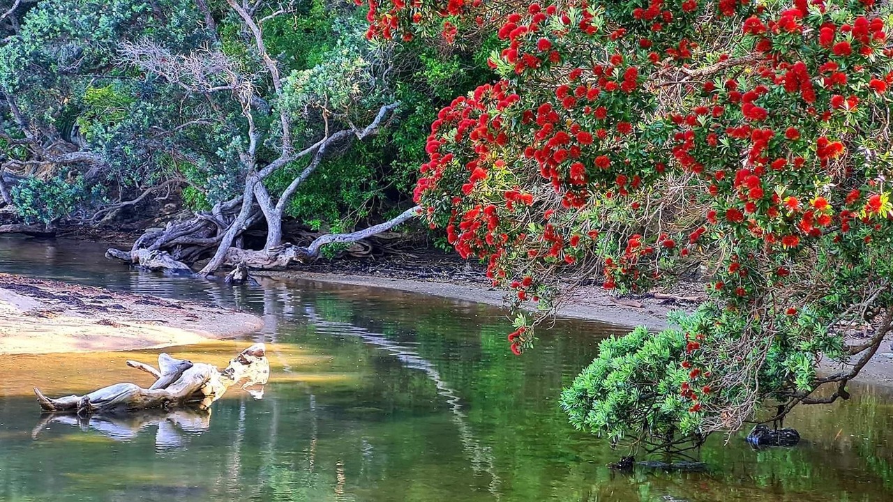 Photo of Outdoor in Stanmore Bay