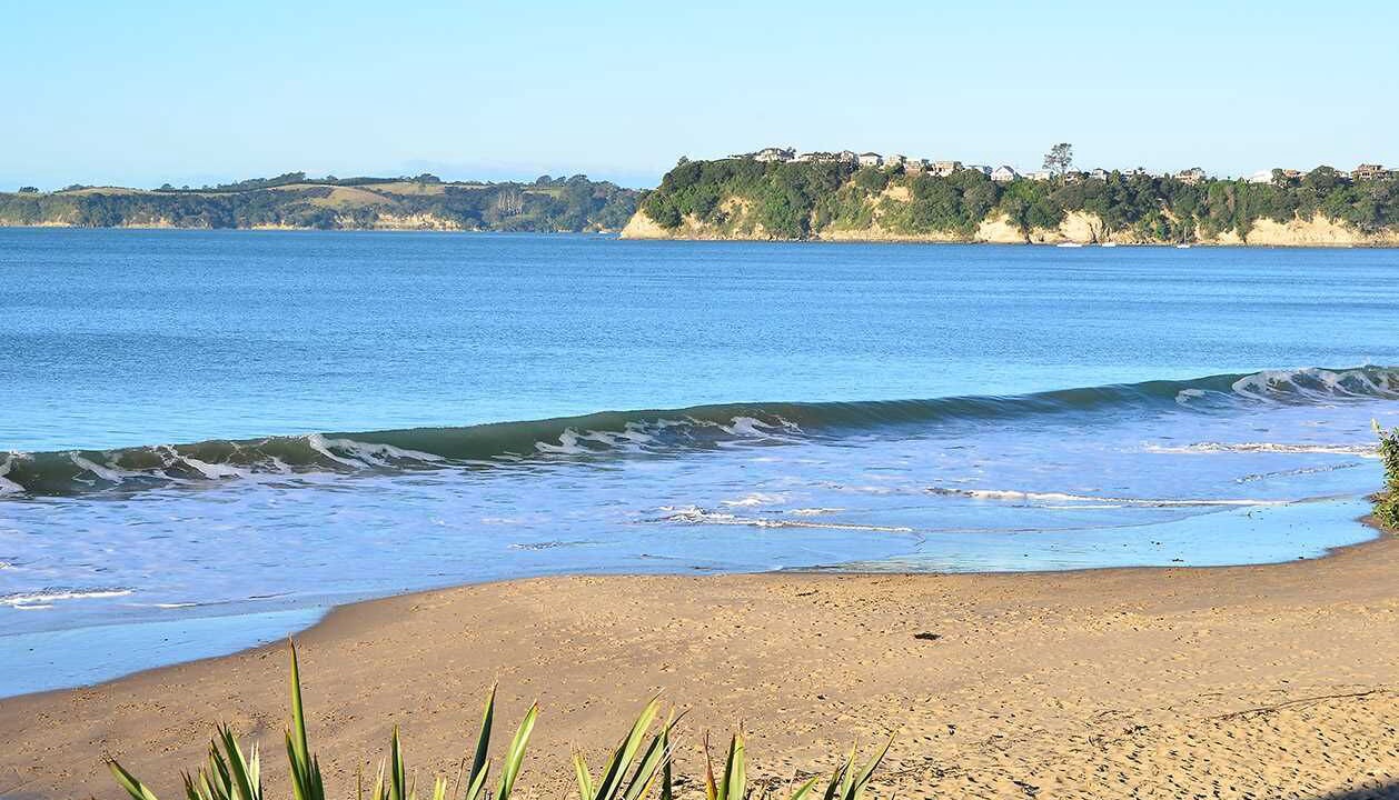 Photo of Others in Stanmore Bay