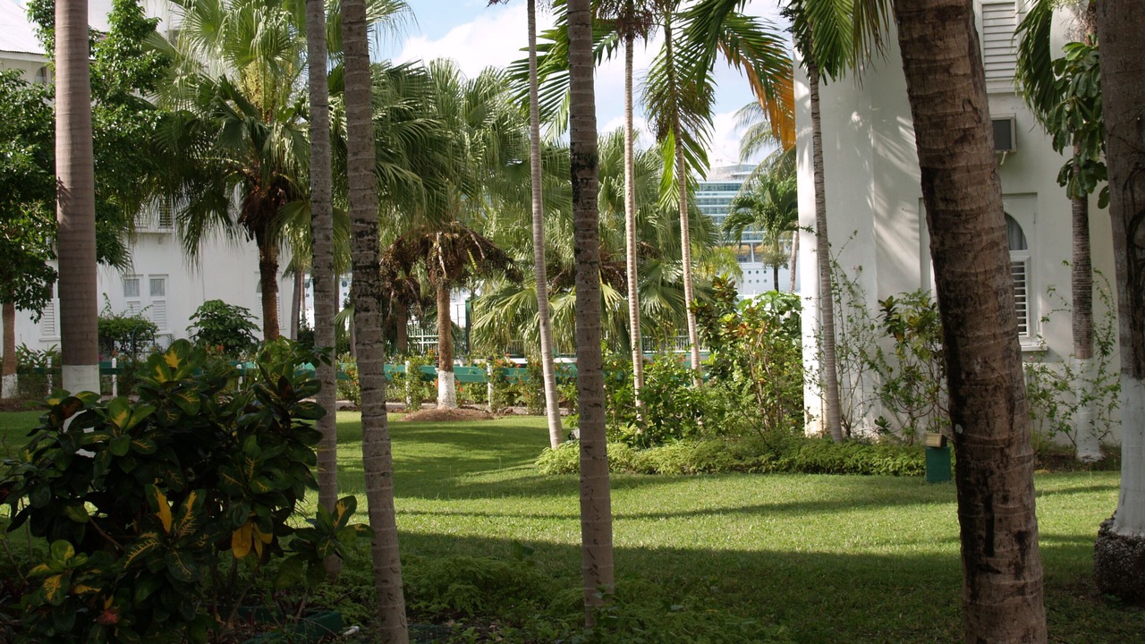 Photo of Others in Ocho Rios