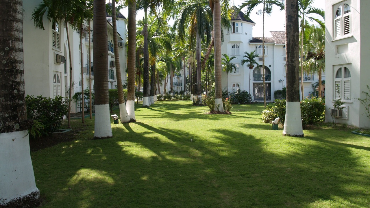 Photo of Others in Ocho Rios