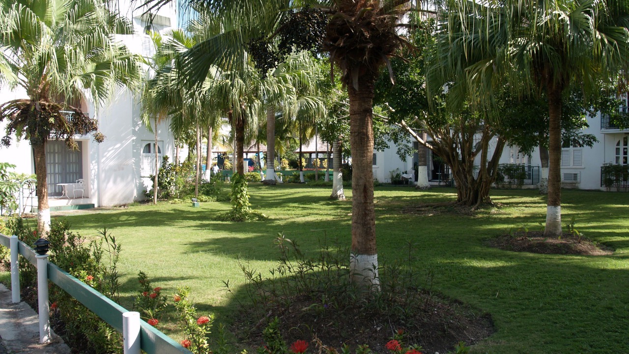 Photo of Others in Ocho Rios