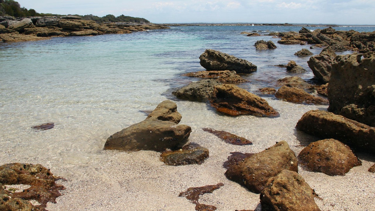 Photo of Others in Currarong