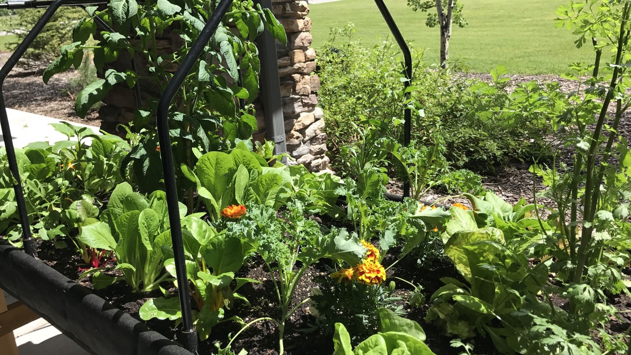 Photo of Outdoor in Victor