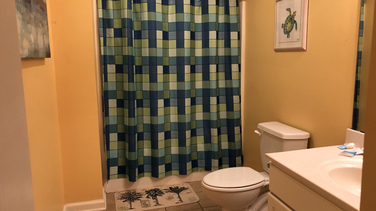 Photo of Bathroom in Cherry Grove Beach