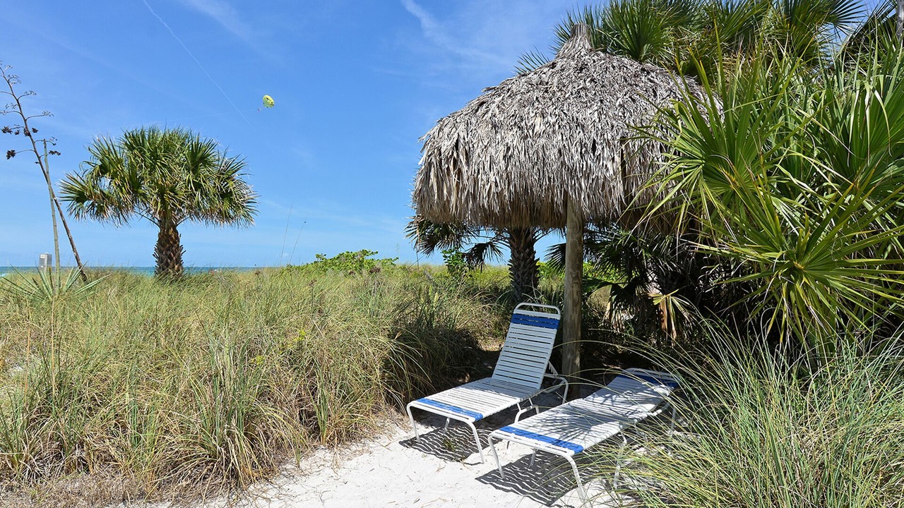 Photo of Others in Siesta Key