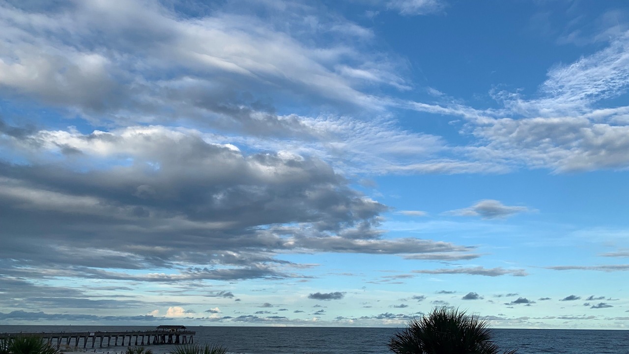 Photo of Others in Tybee Island