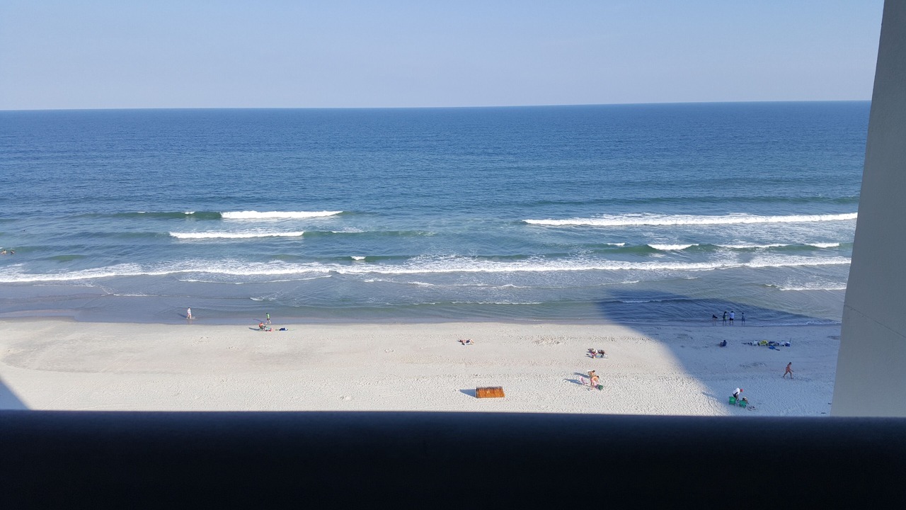 Photo of Others in Arcadian Shores