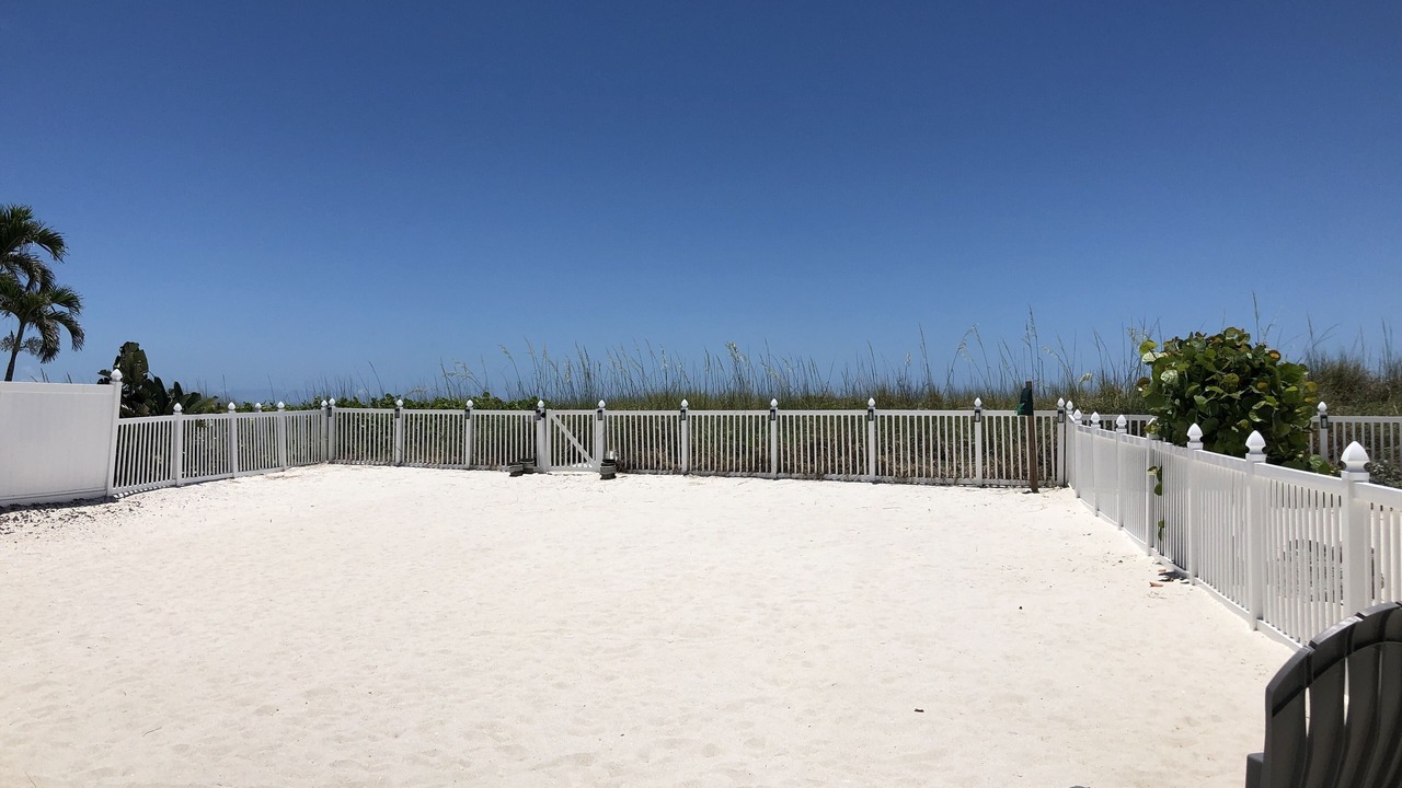 Photo of Others in Treasure Island