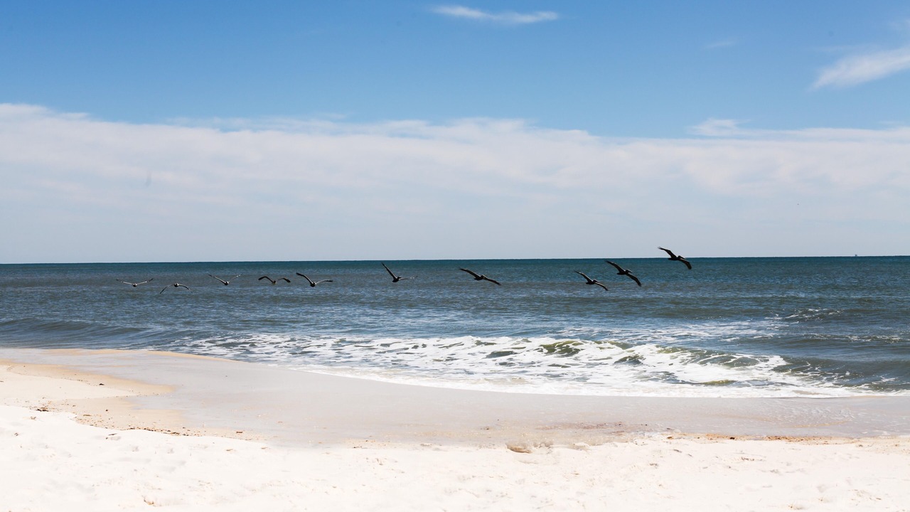 Photo of Others in Surf Side Shores
