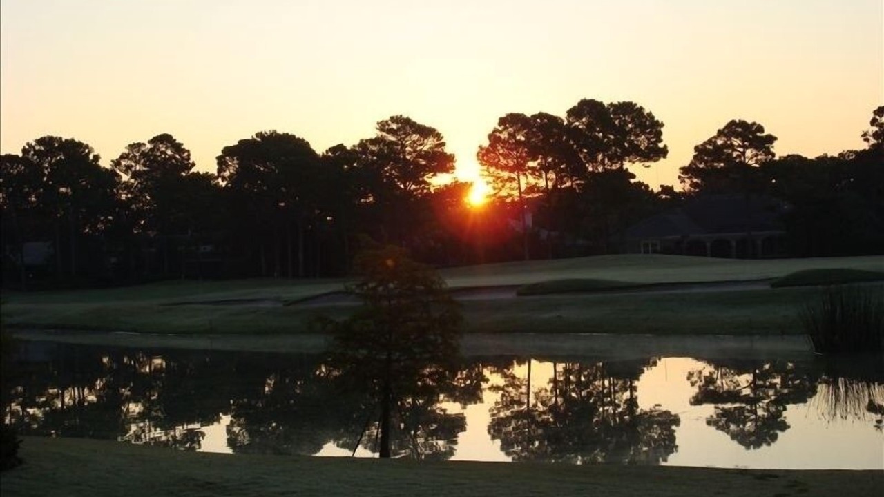 Photo of Others in Laurel Grove