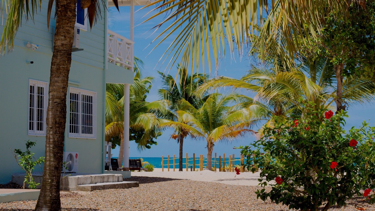 Photo of Outdoor in Placencia