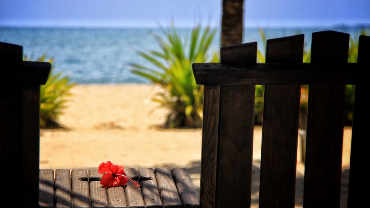 Photo of Others in Placencia