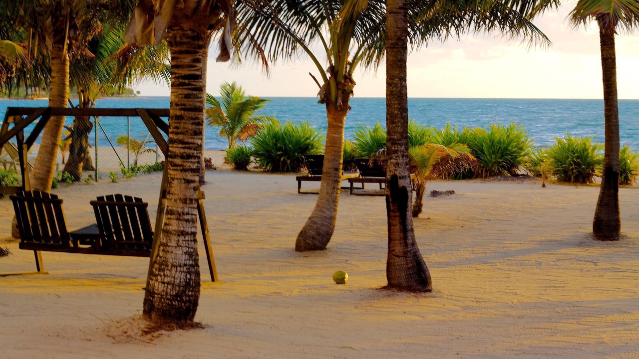 Photo of Others in Placencia