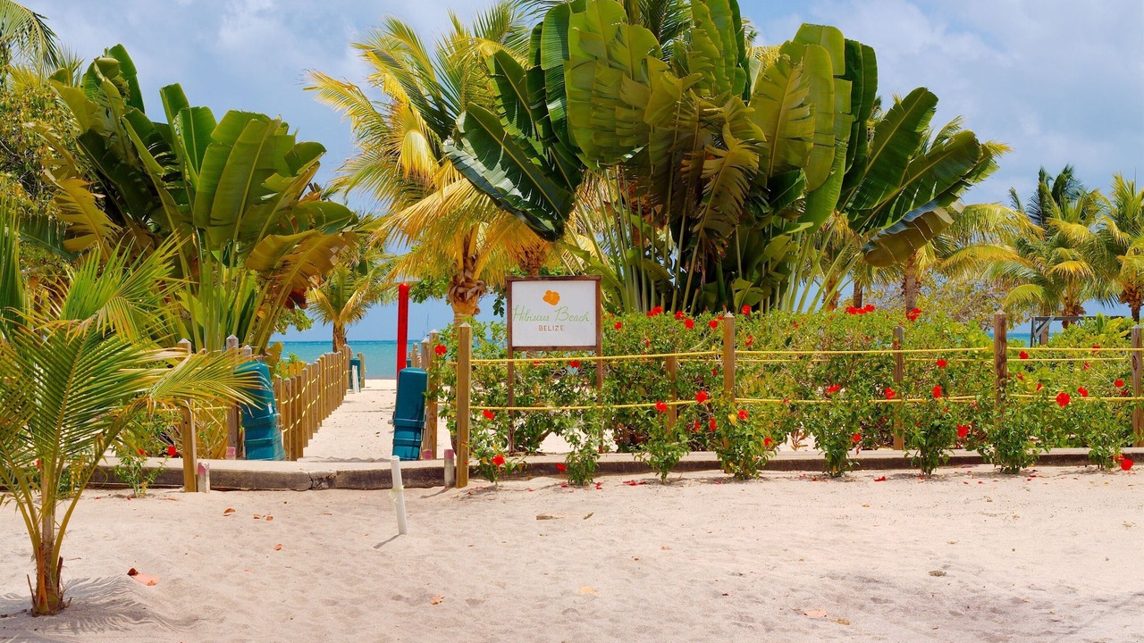 Photo of Others in Placencia