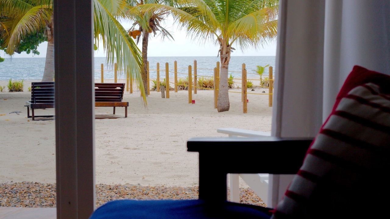 Photo of Others in Placencia