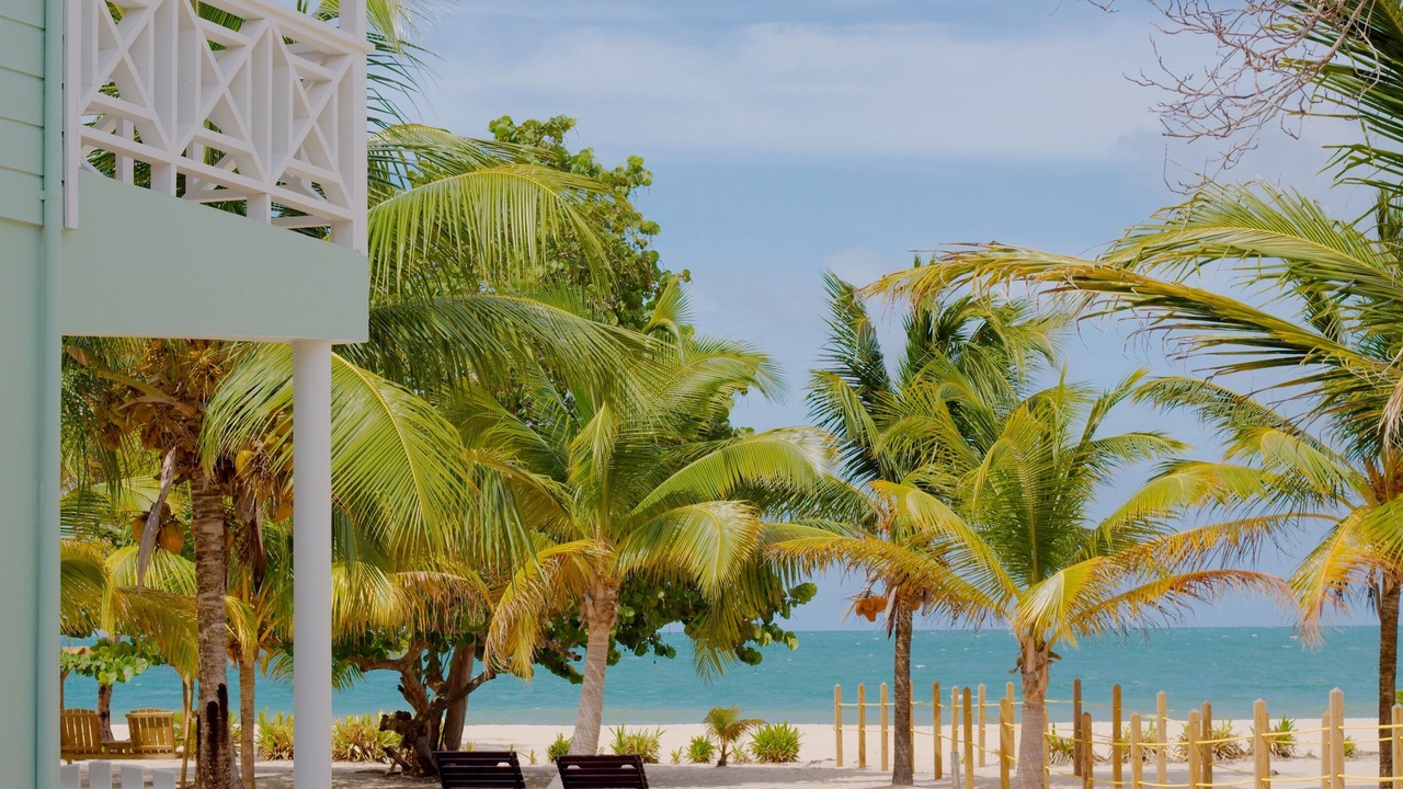 Photo of Others in Placencia