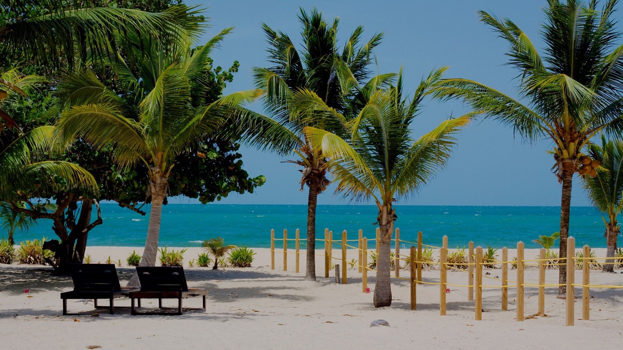 Photo of Others in Placencia