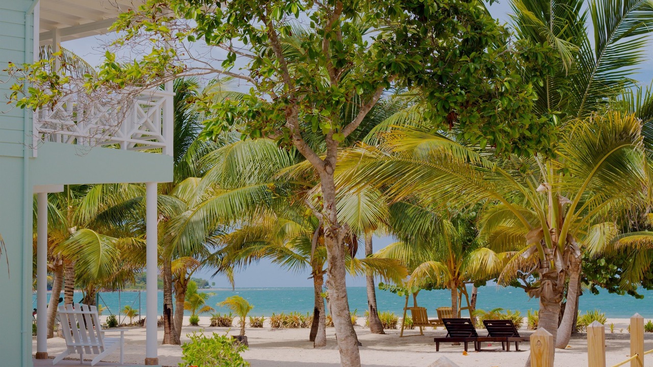 Photo of Outdoor in Placencia
