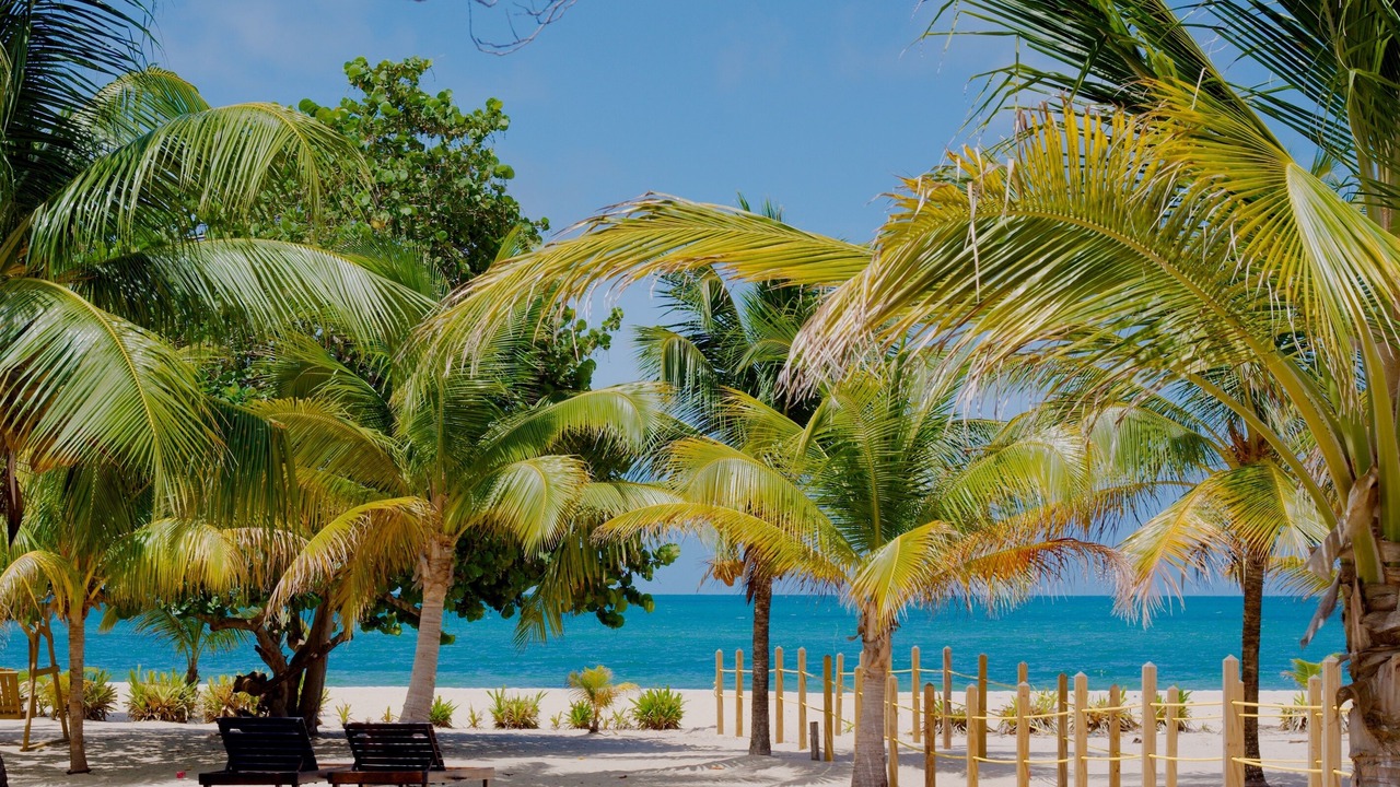 Photo of Others in Placencia