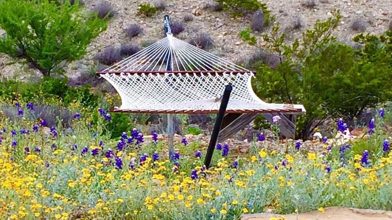 Photo of Outdoor in Alpine