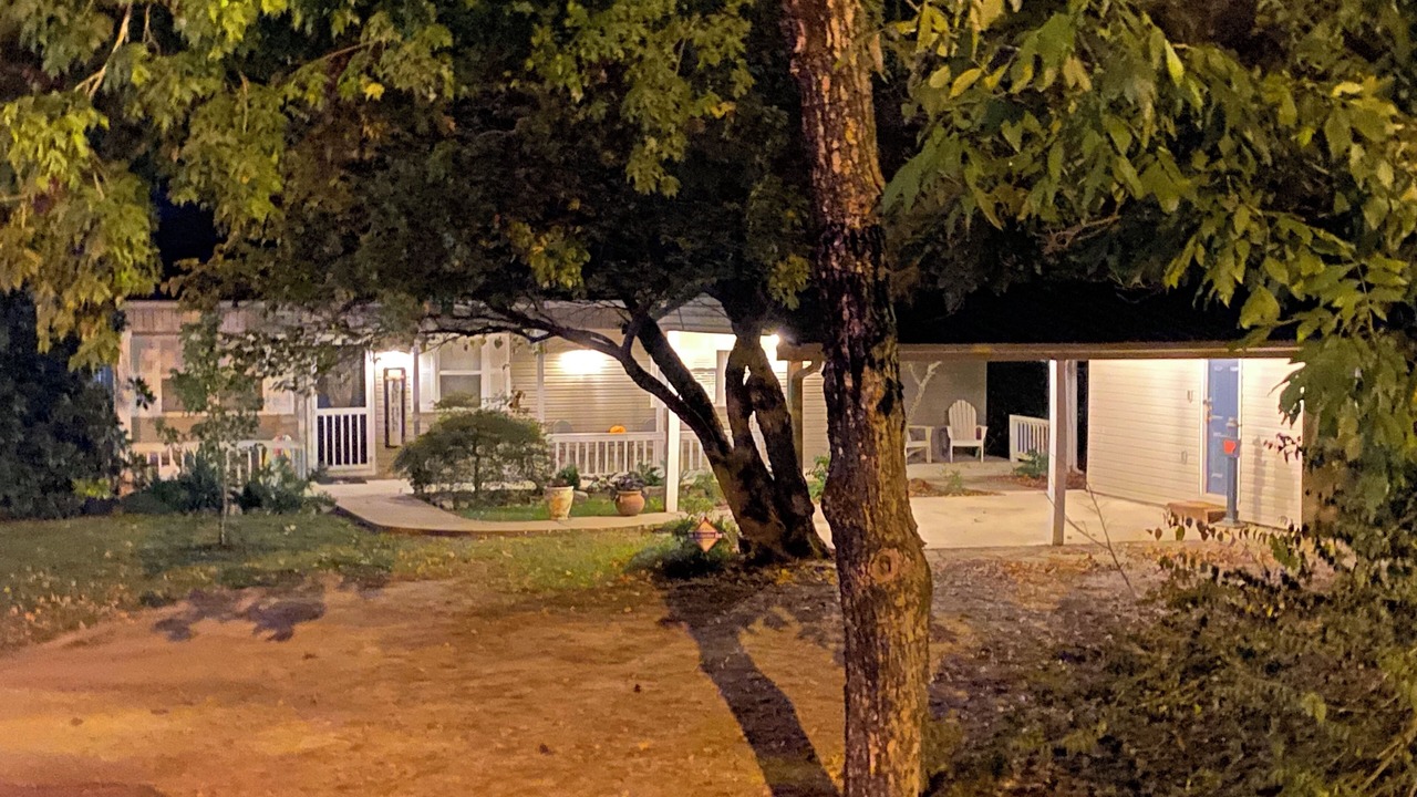 Photo of Outdoor in Piney