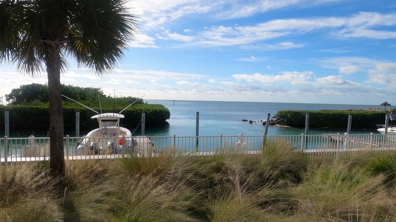 Photo of Outdoor in Windley Key