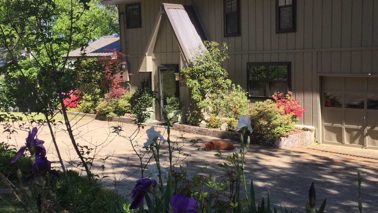 Photo of Outdoor in Piney